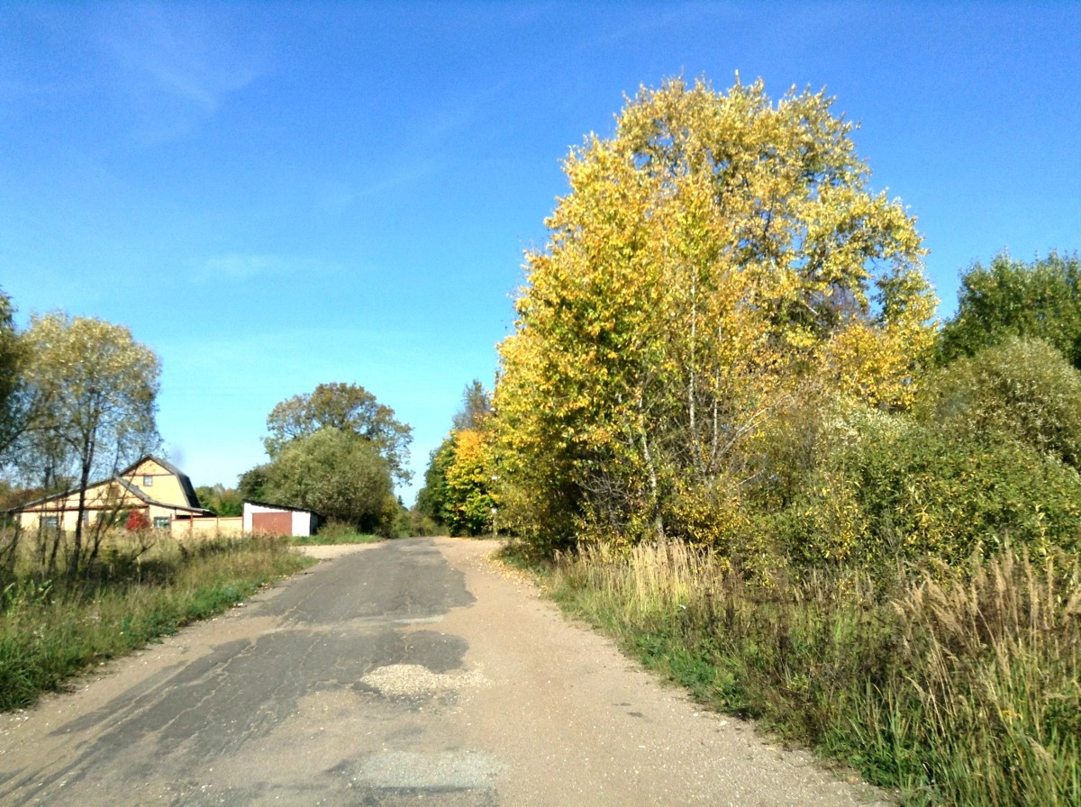 Подвязье деревня (Старицкий р-н)
