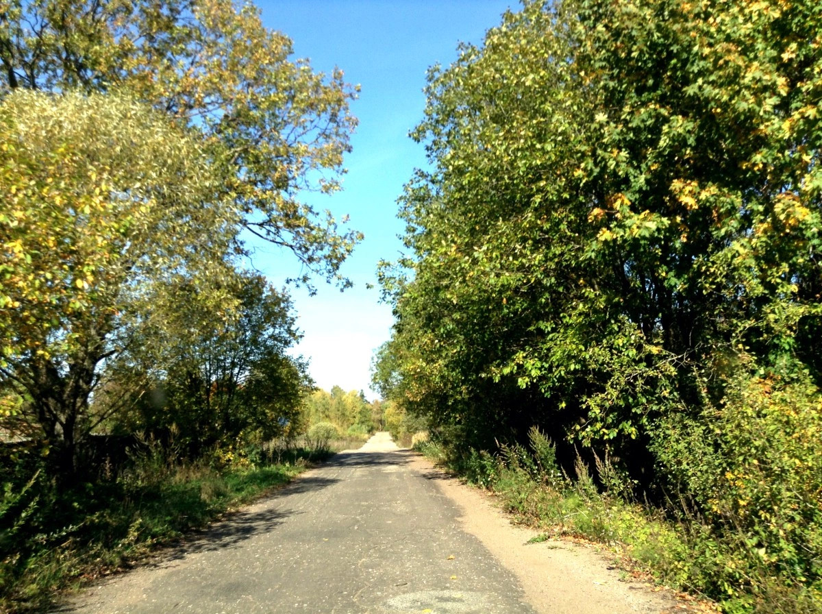 Подвязье деревня (Старицкий р-н)