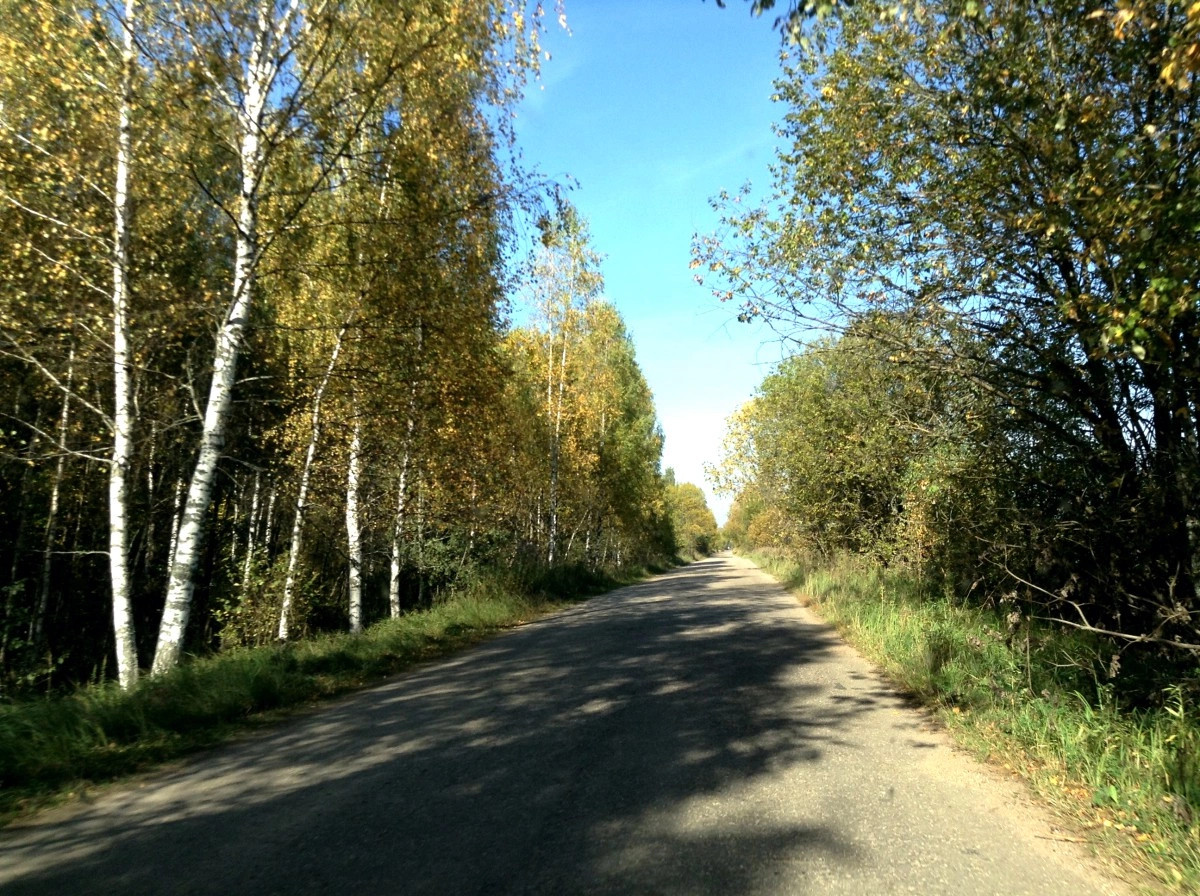Старицкий район