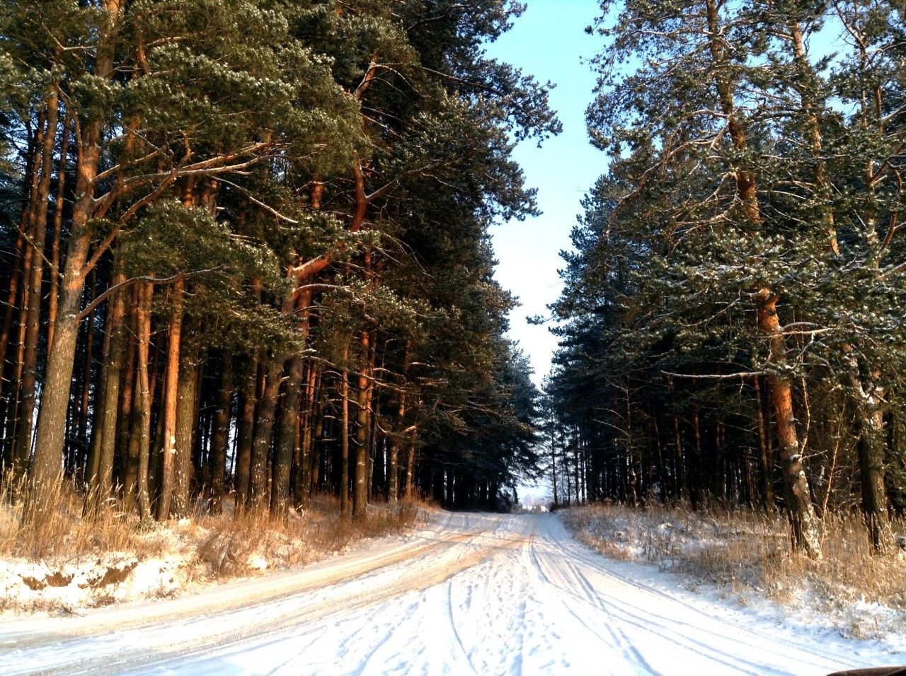 Новое Семеновское деревня