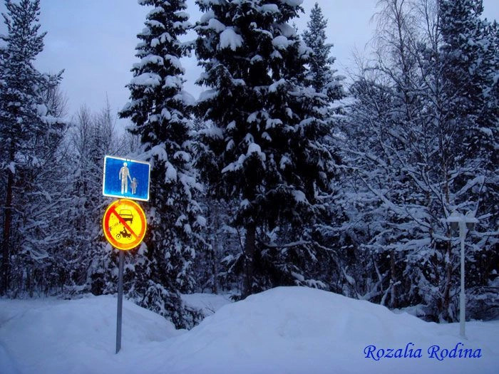 Леви