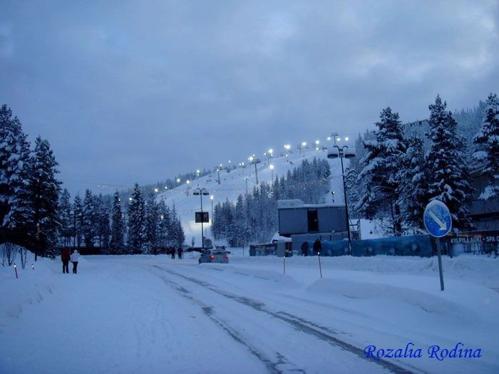 Леви