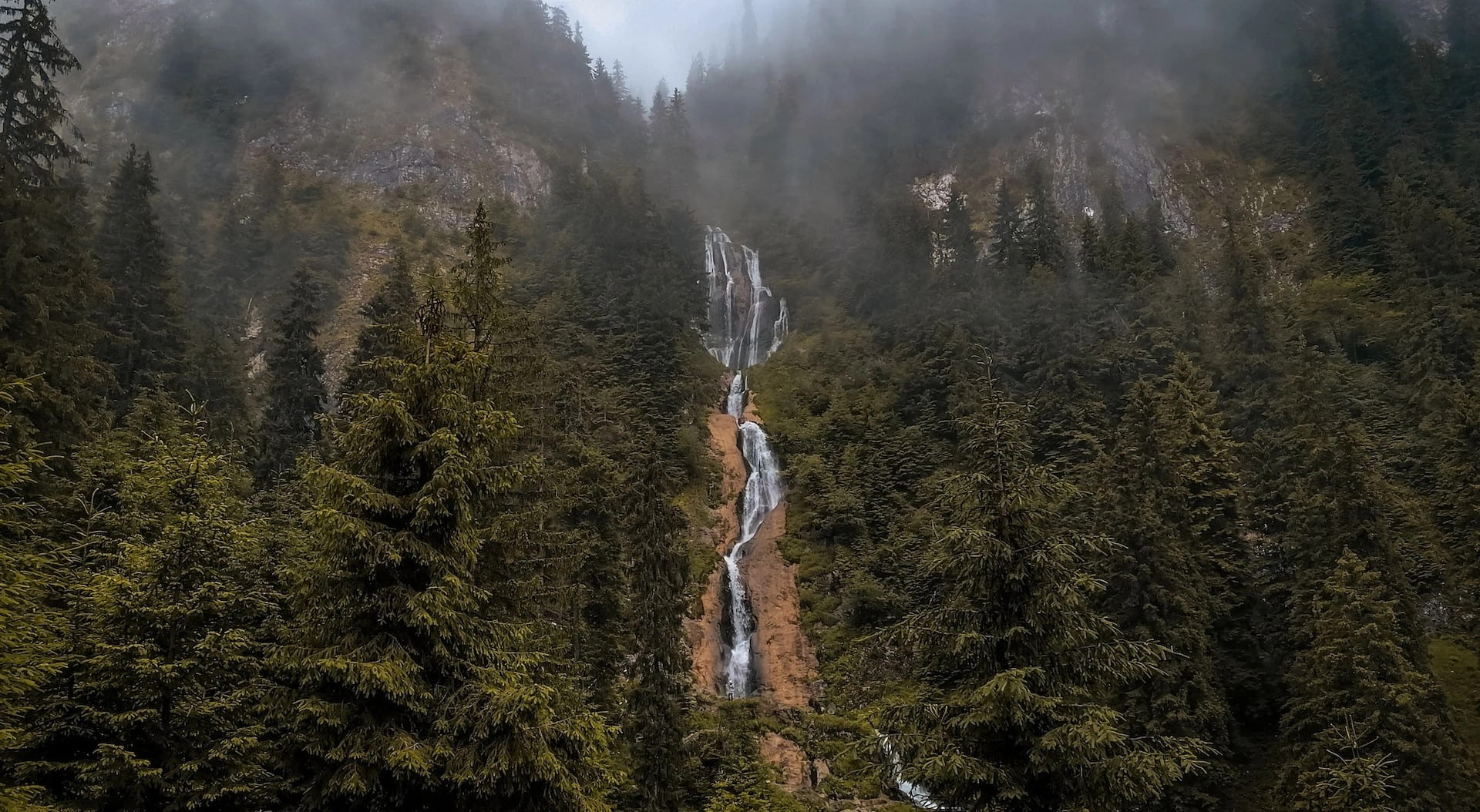 Борша (жудец Марамуреш)