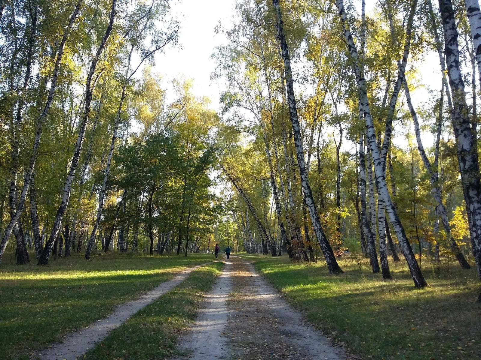 Полтавская обл.