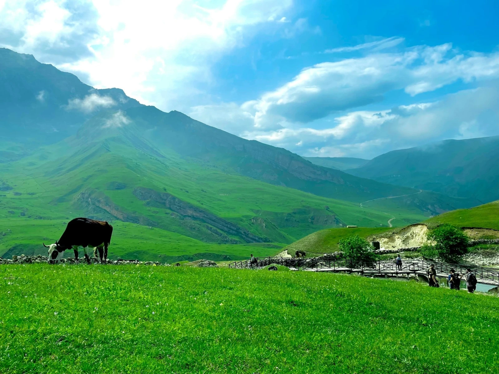 Кусары