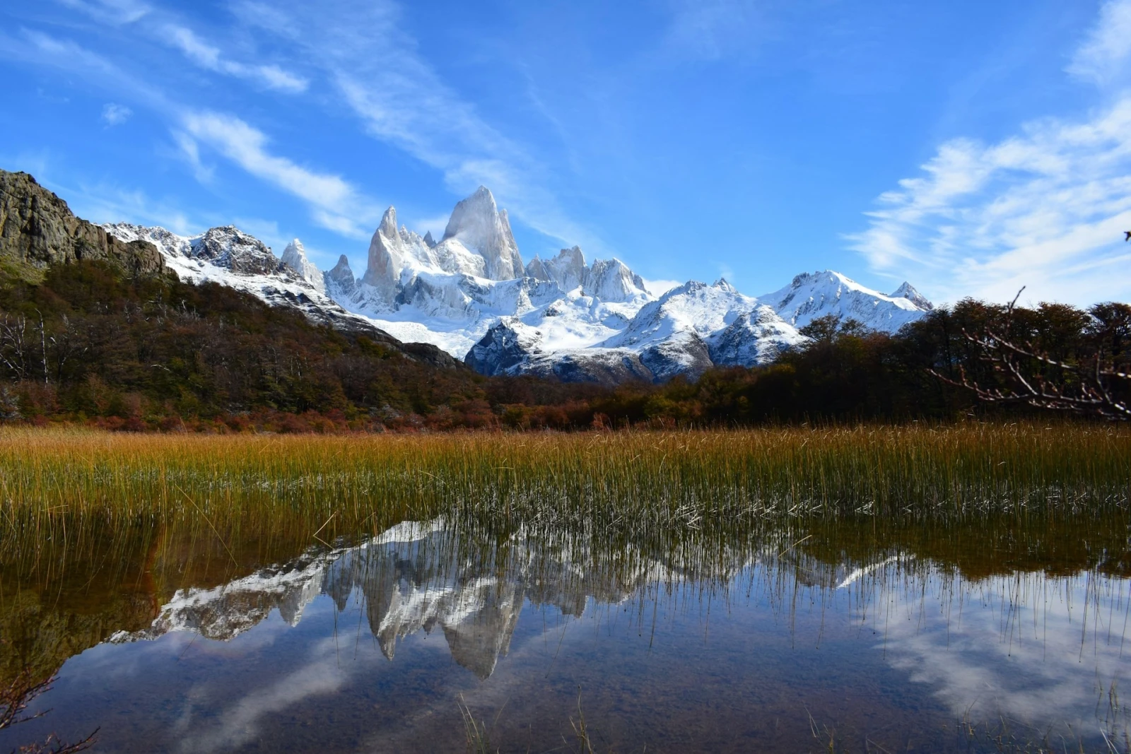 Ovo Patagonia 