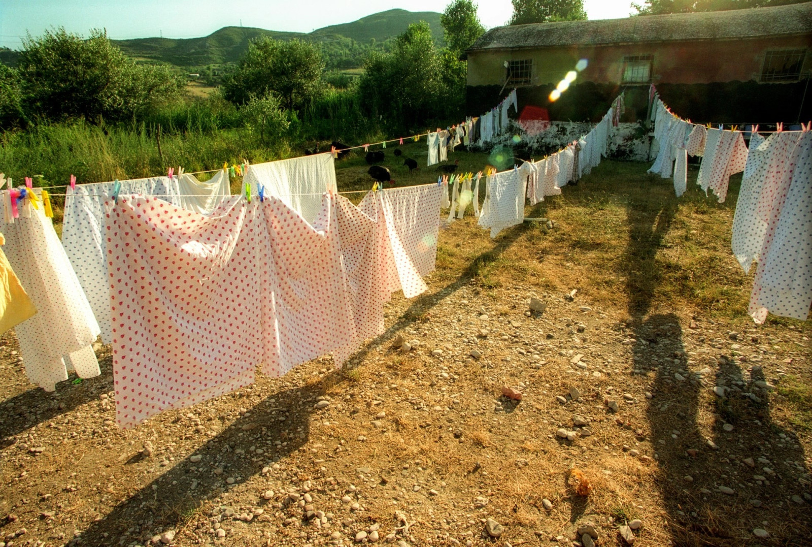 Баллш