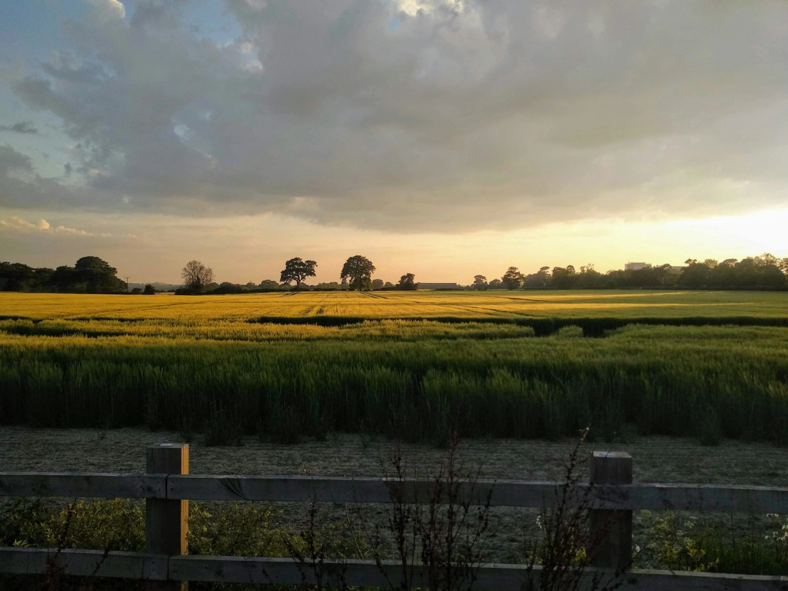 Колчестер (район)