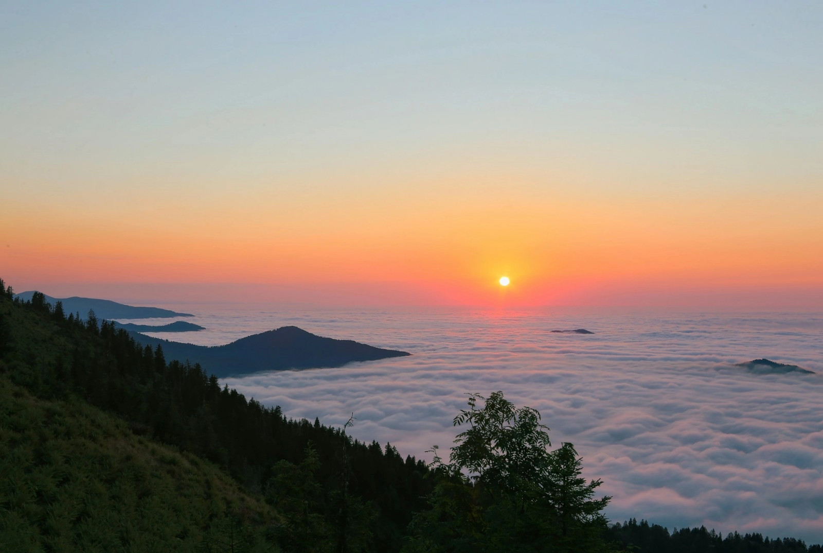 Ризе
