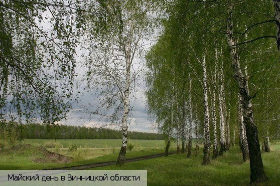 Винницкая обл.