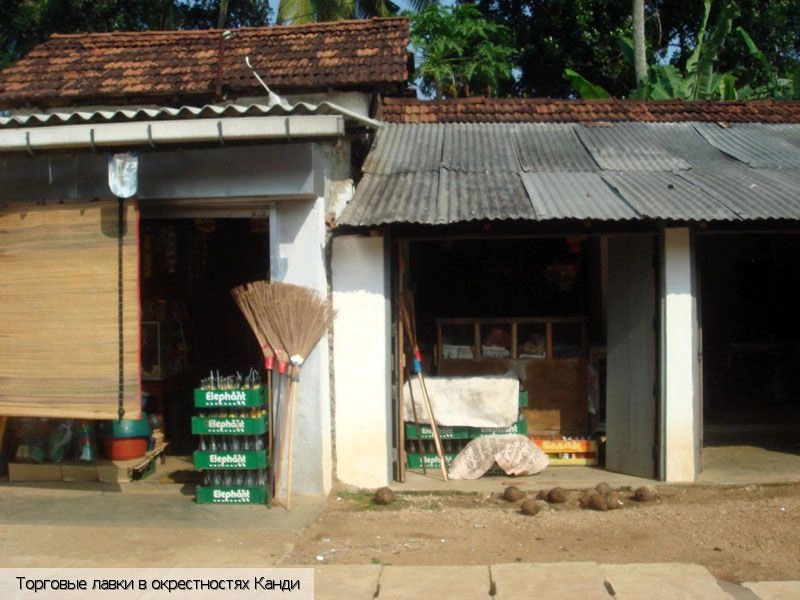 Канди город