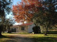  Quinta da Pedra Mija