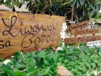  Liwayway sa Bohol - Pamilacan Bed & Breakfast