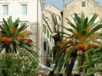  Accommodation Vitaic