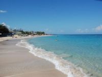  Paradise Tropical Spice