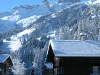  Ferienwohnung Steber