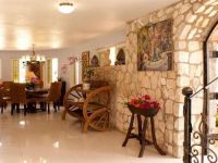  Paradise Birds Eye View