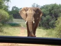  Leopardsong Game Lodge