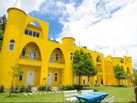  Cingjing Brilliant Twins of Seattle