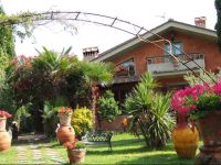  Il Cipresso del Gallo