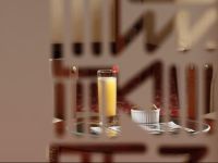  Ledger Plaza Bissau Hotel