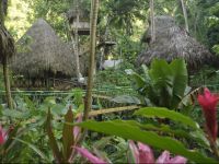  Dominican Tree House Village