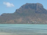  Rosemary (Le Romarin)