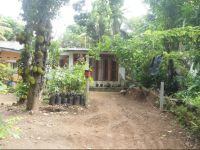  Nuwan Homestay