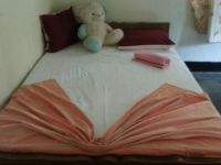  Club Elephant Safari Resort