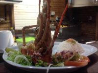  Bungalow Charmant proche de la Mer