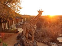  Okutala Etosha Lodge