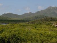  Airu fresku Apartment