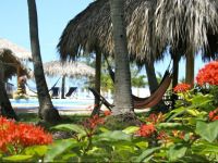  Azul Surf Club