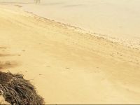  Vacations Beach Fale