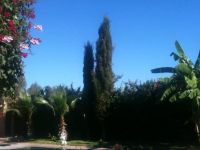  Les Nuits EtoilГ©es