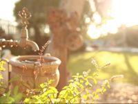  Desert Bird Guest House