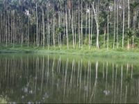  Misty Villa Estate Stay