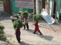  Swami Samarpan Ashram