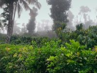  SanJose Holiday Home Resort,Virajpet