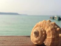  Angkor Chom Bungalows and Rooms