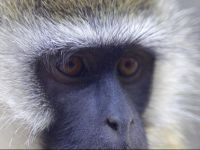  Maralal Safari Lodge & Wildlife Reserve