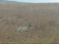  Destiny Eco Camp Mara