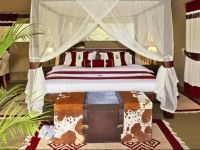  Mara Bush Camp - Private wing