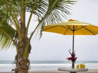  Charlies Jungle House