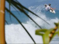  Cabinas Casa Del Leon