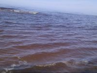  Cottage by the Sea in the National Seaside Park