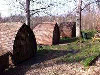  Adventure in the Meadow