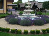  Astra-Poilsis Sventojoje