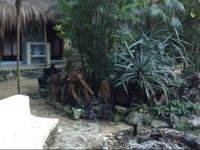  Cavelands in the Jungle