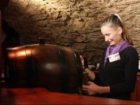  Hotel ДЊierny Orol